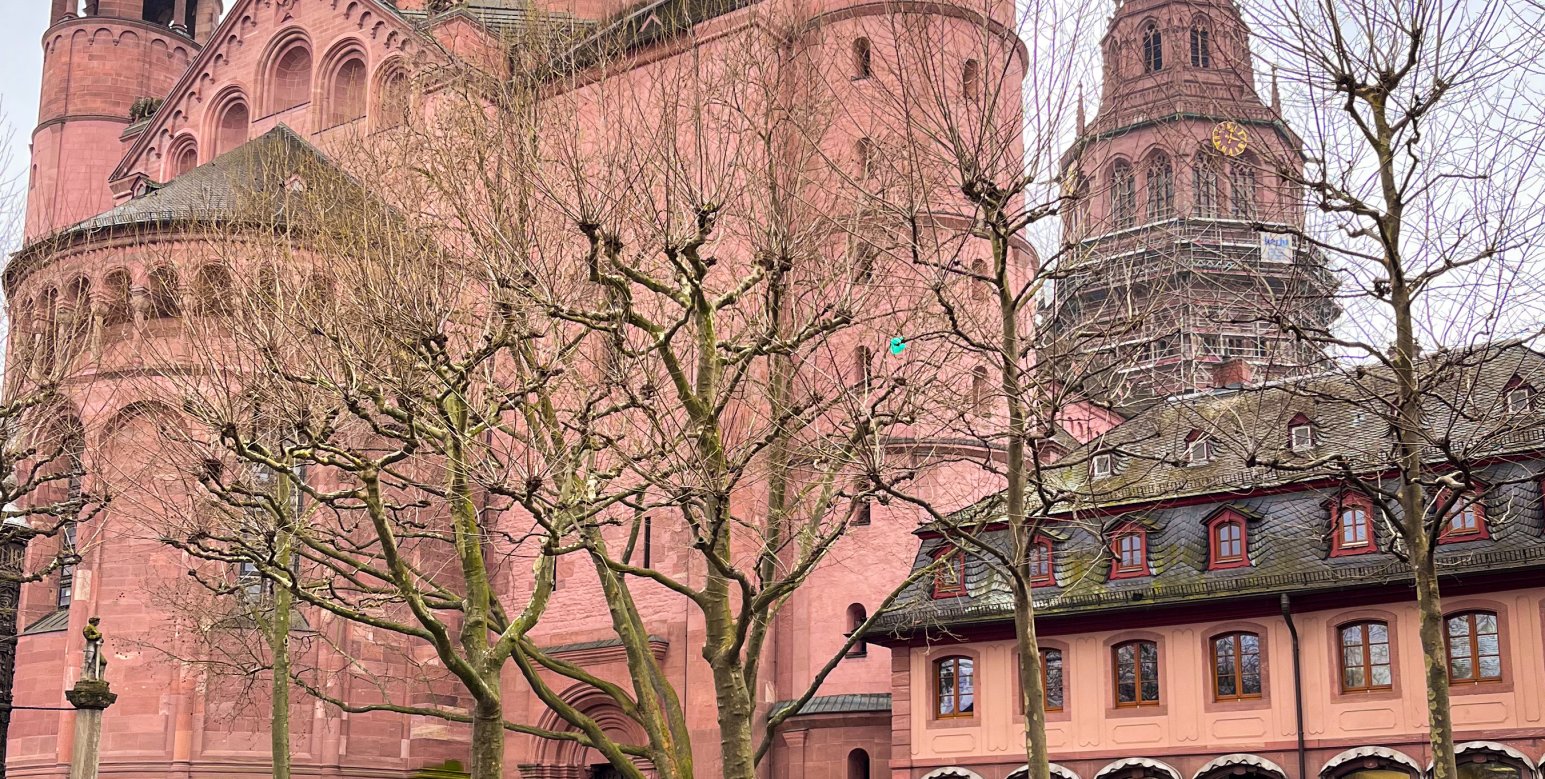 Dom Mainz met bloemen op voorgrond