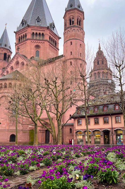 Dom Mainz met bloemen op voorgrond
