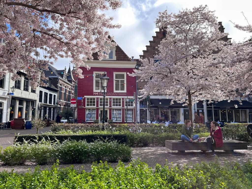 Zwolle stedentrip plein