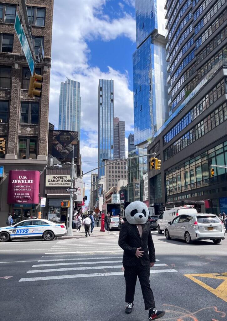 New York streetview met panda