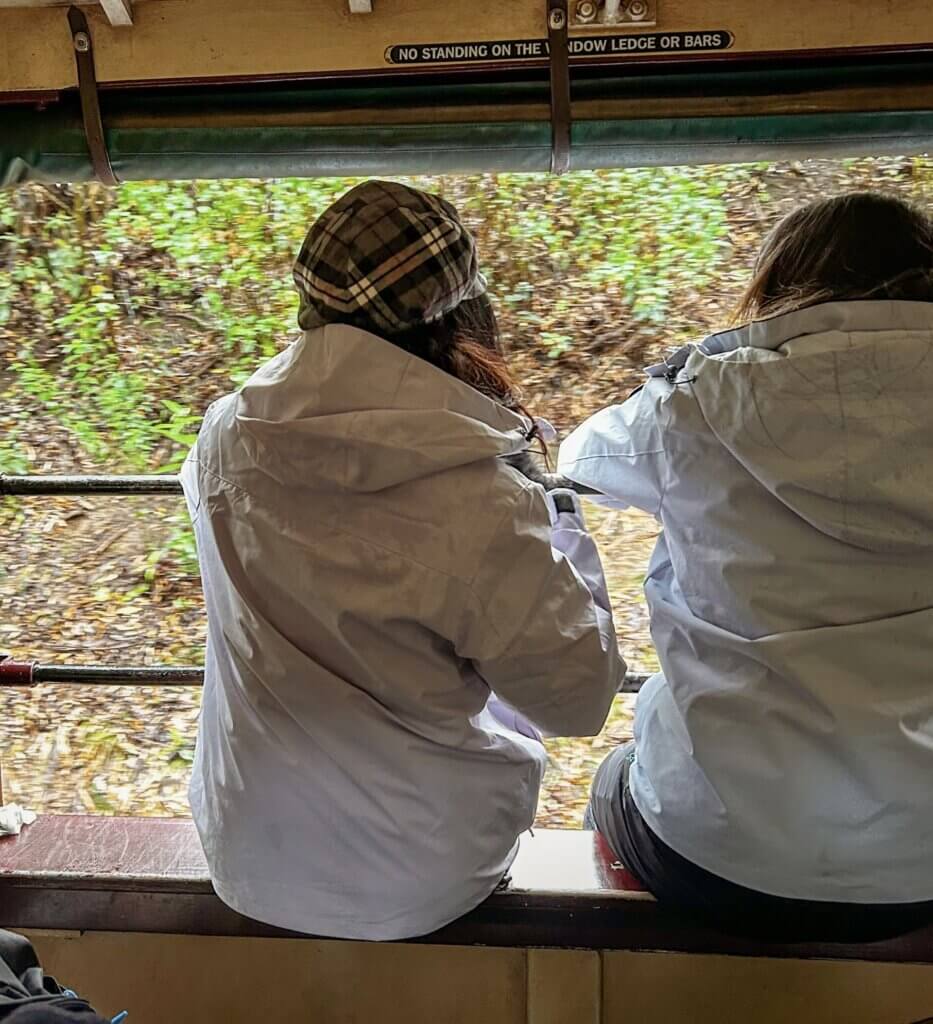 Puffing Billy zitplaats